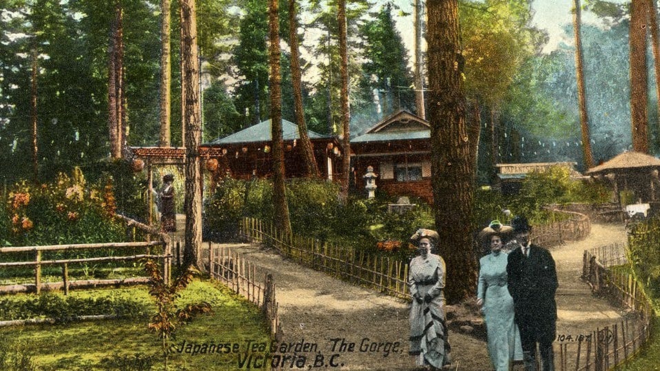 Vancouver Island residents seek to rebuild WWII era Japanese teahouse | CBC News Vancouver Island residents seek to rebuild WWII era Japanese teahouse | CBC News