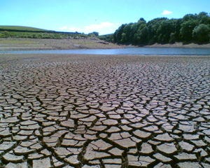 Famine - Energy Education
