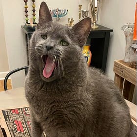 Contrarian Pet of the Week