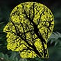 Freeq O’Nature's avatar