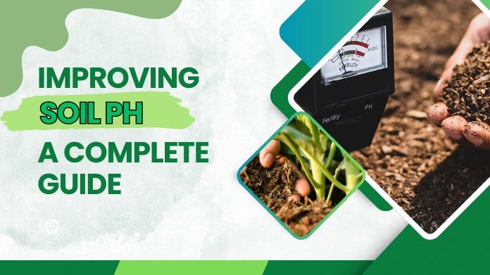 improve soil ph