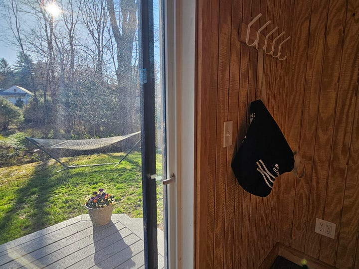 A quadrant of four square photos. Left to right, top to bottom: the mated pair of mourning doves nesting, my writing studio in sharp morning light, a view from my desk, one of many pots of pansies I planted