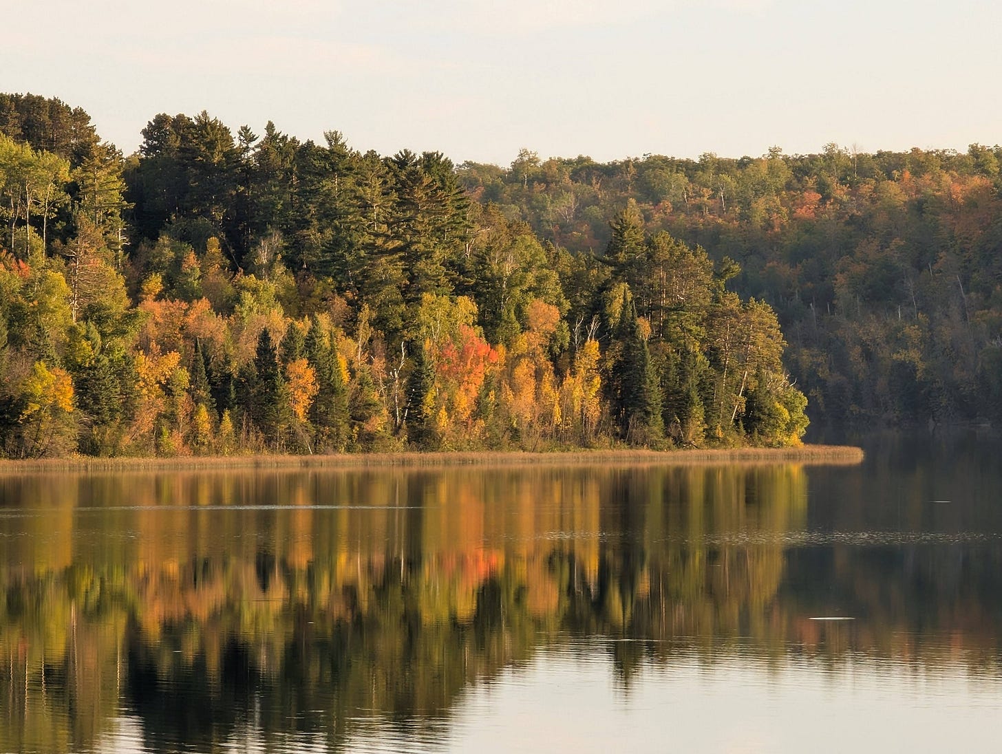 A shoreline of trees in different hues of orange and green on the banks of a clear lake.