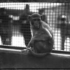 new writing: craig strete's "mother of cloth, heart of clock"