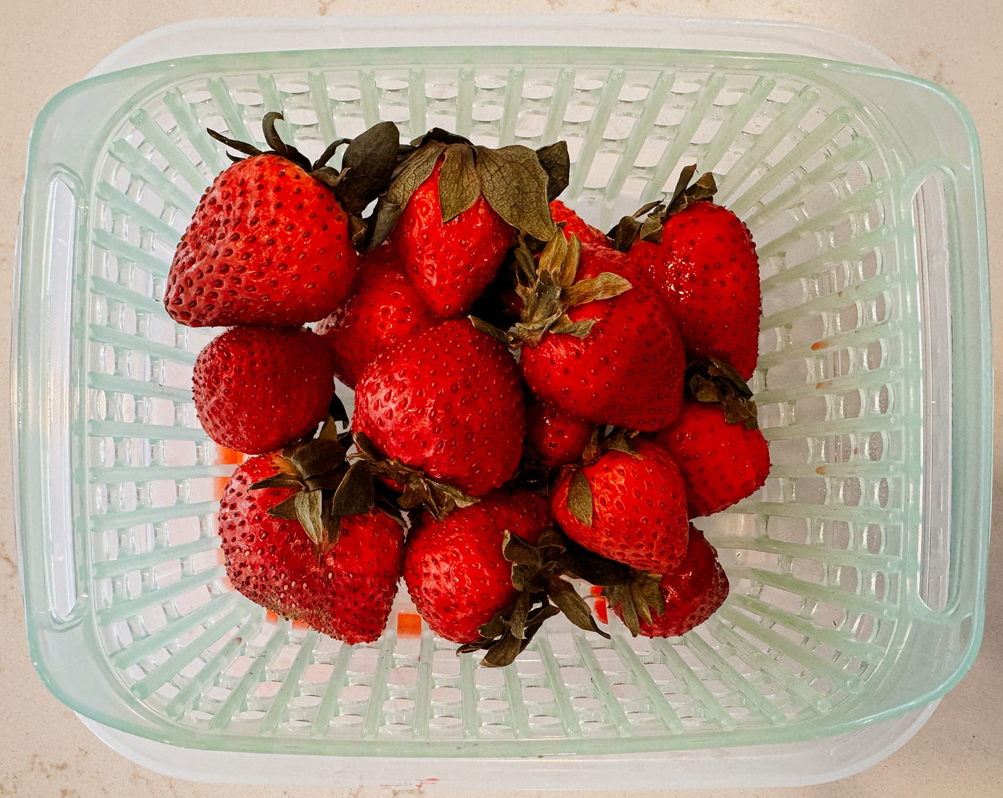 overripe berries