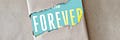 The Forever Freelancer