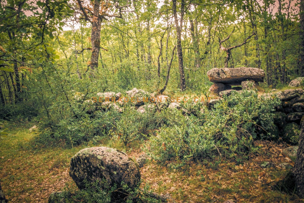 Dolmen de la Cabaneta del Fornó. Cornudella de Valira, Areny de Noguera. La Terreta, Ribagorça d'Osca. Aragó.