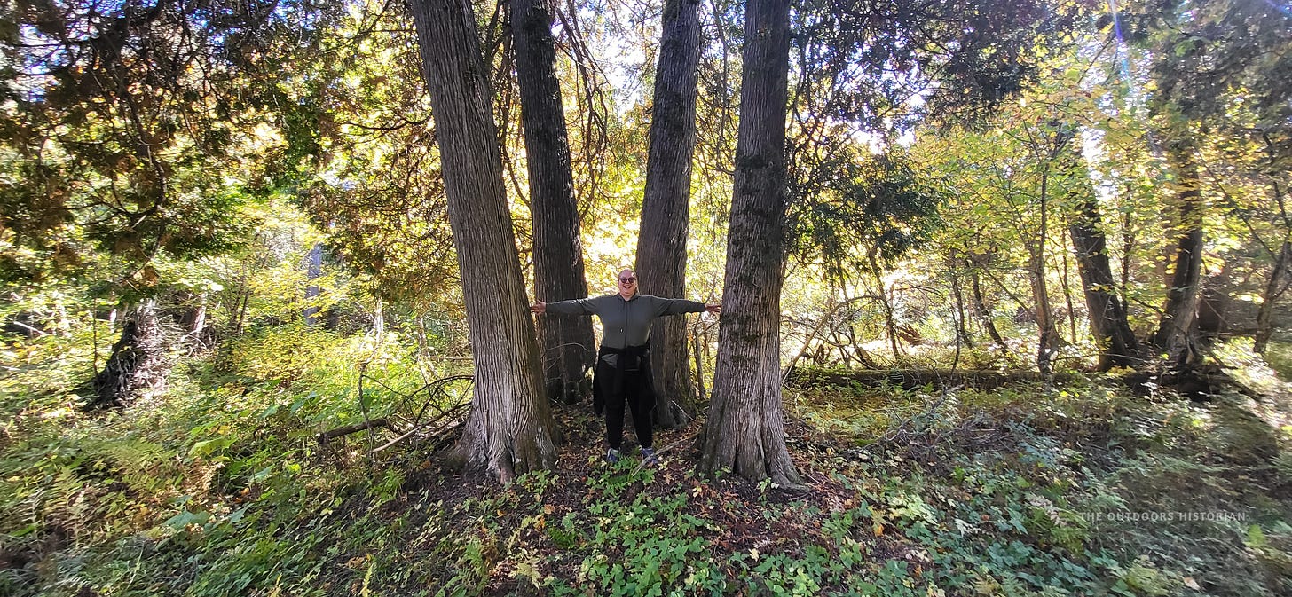 Emily standing in a dense forest with her arms outstretched, touching the trunks of massive, shaggy-barked cedar trees on either side of her.