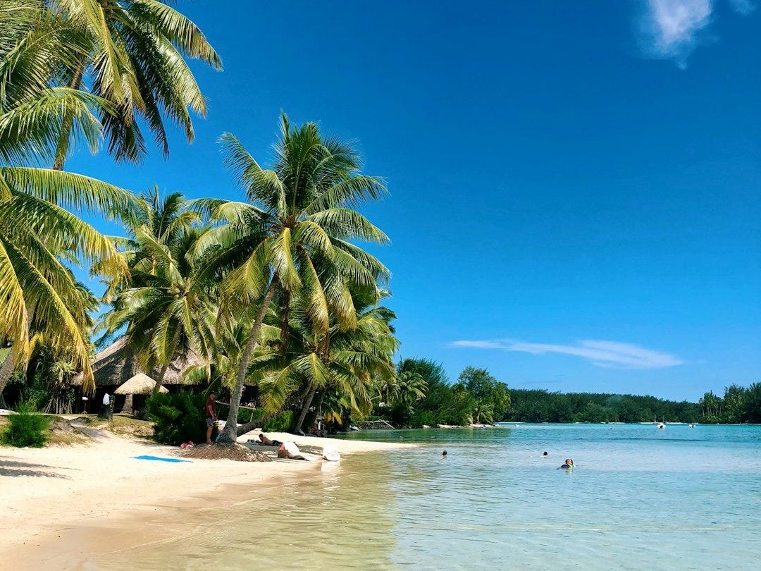 Les 7 Bonnes Nouvelles du Dimanche 28 Décembre 2025