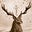 Leon-Paul de Bruyn's avatar