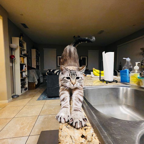 This Is How Clever Creators Will Grow Subscribers in 2026 Without Selling Our Souls by BadRedheadMedia, LLC