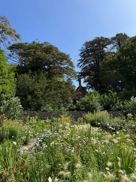 The Newt in Somerset