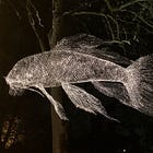 Last Lumiere all set for weekend switch on