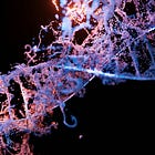 7 Easy Habits to Slow the Aging Process 🧬