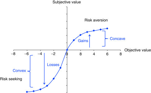 Prospect Theory - an overview | ScienceDirect Topics