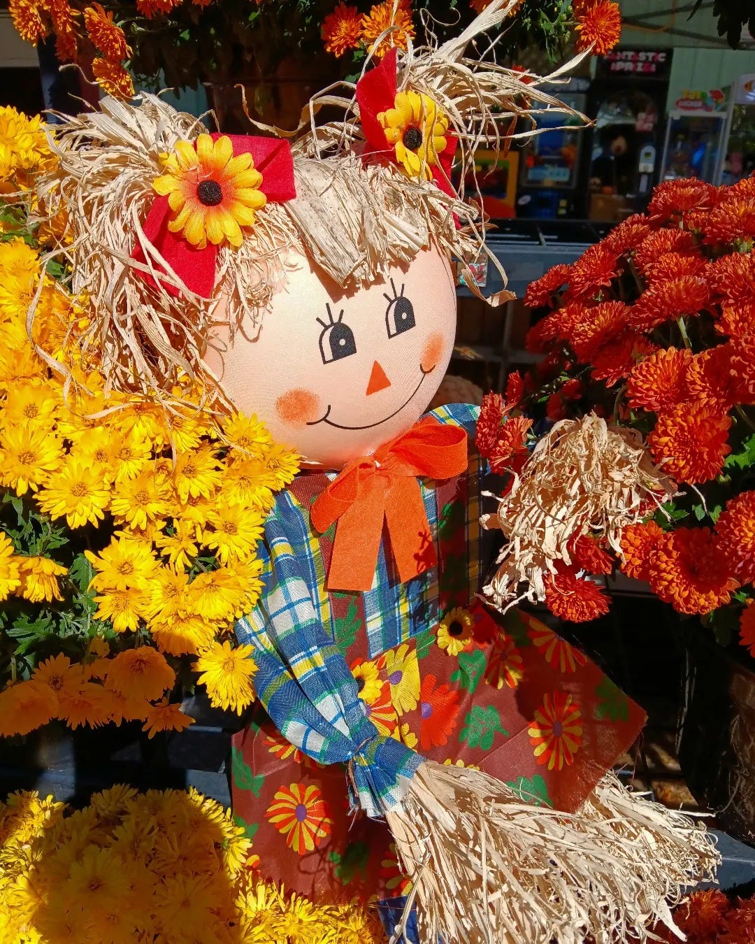 No photo description available.