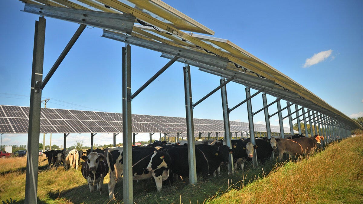 An agrivoltaic approach provides an array of benefits | University of  Minnesota System