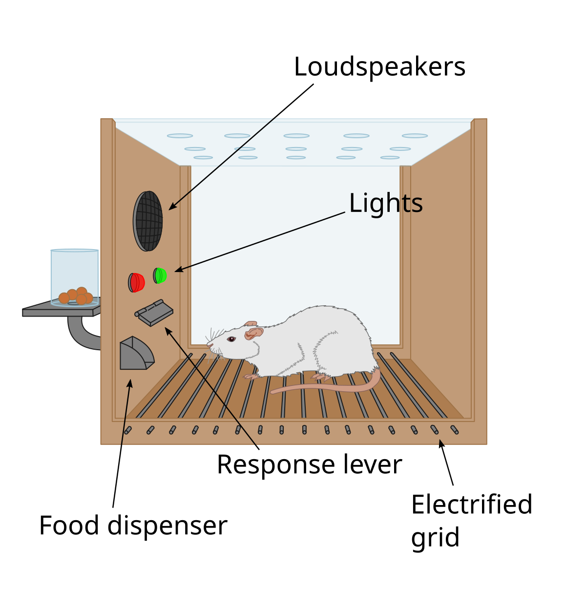Operant conditioning chamber - Wikipedia