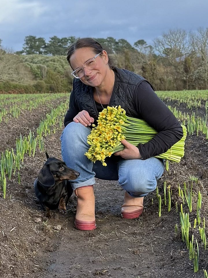 Lady holding daffodils in a field