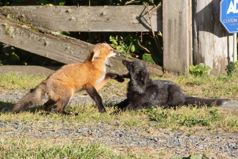 20250610-SJI3-639-Edit.jpg 20250610-SJI3-639-Edit.jpg