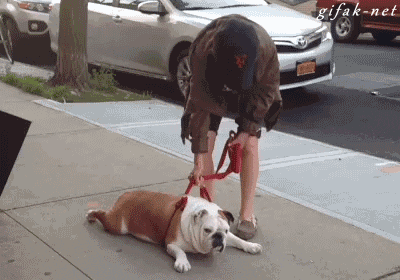 https://media.giphy.com/media/ilqOZZCi8D9sYAsHJe/giphy.gif