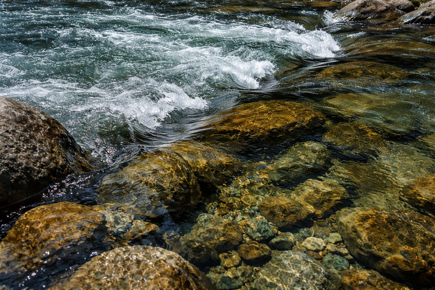 a river with a clear, visible current on the surface but rocks and complex terrain underneath that shape the flow. The surface movement is legible and predictable. The actual forces shaping the water are hidden, structural, and specific to that particular stretch of river. a river with a clear, visible current on the surface but rocks and complex terrain underneath that shape the flow. The surface movement is legible and predictable. The actual forces shaping the water are hidden, structural, and specific to that particular stretch of river.