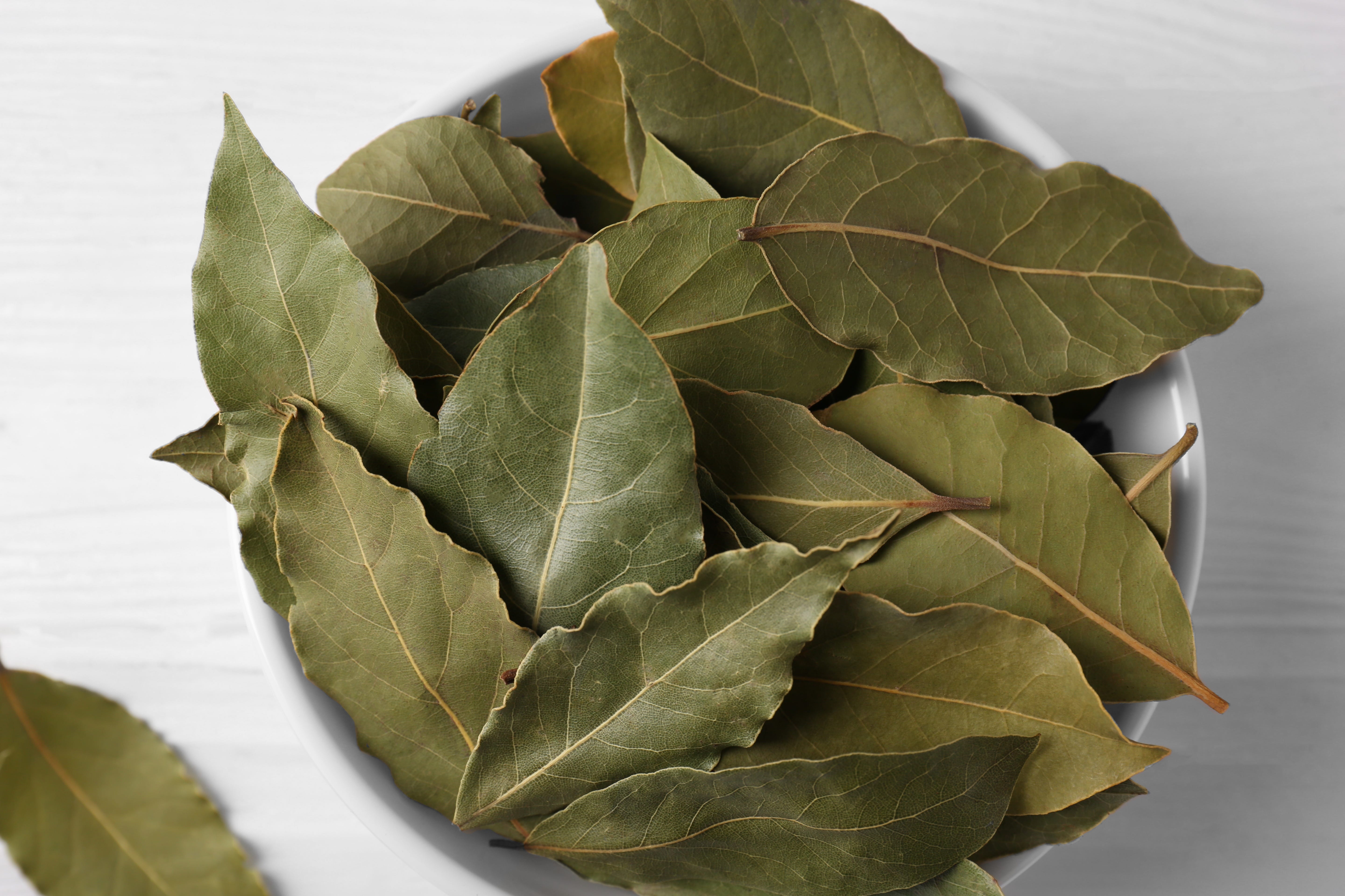 Do Bay Leaves Add Flavor? - by Christopher Kimball