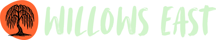 Script Witch School