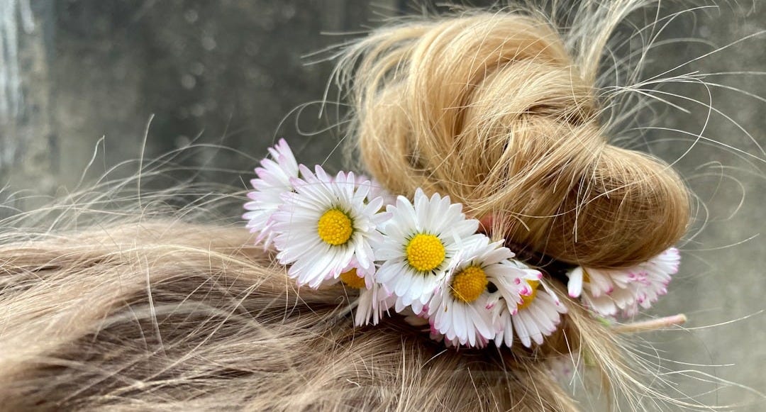 white daisy on womans hair