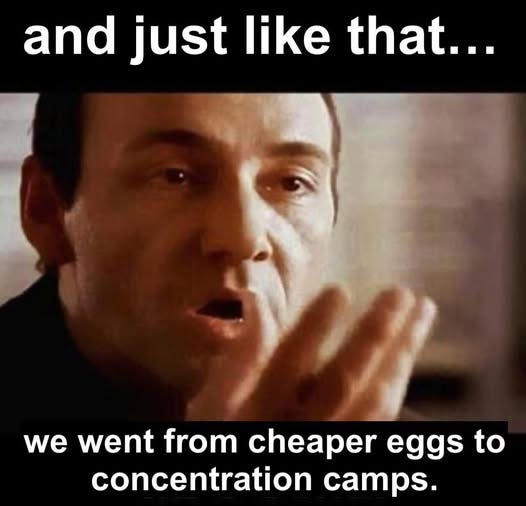 May be an image of 1 person and text that says 'and just like that... we went from cheaper eggs to concentration camps.'