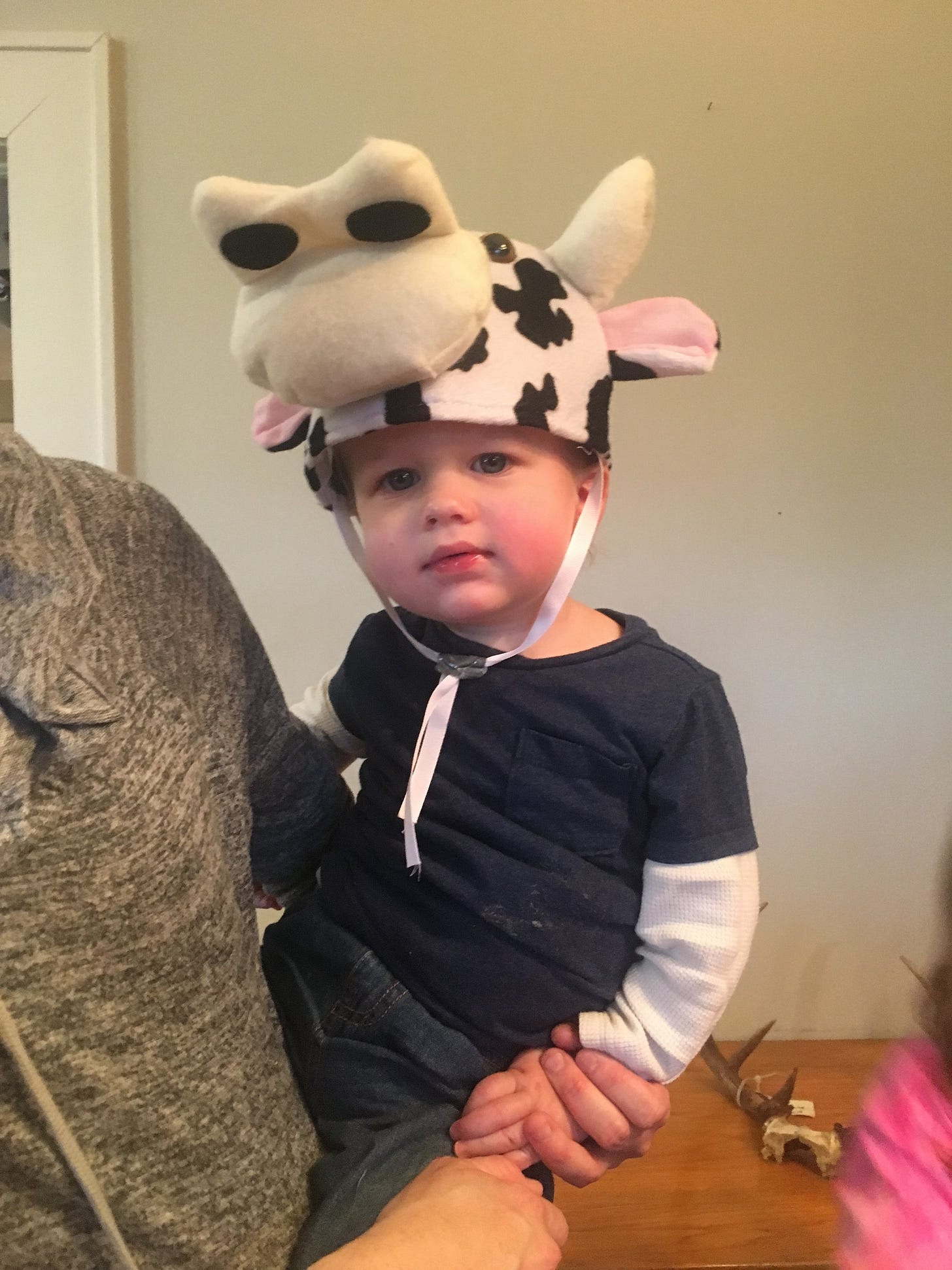 IMG_4730.JPG IMG_4730.JPG