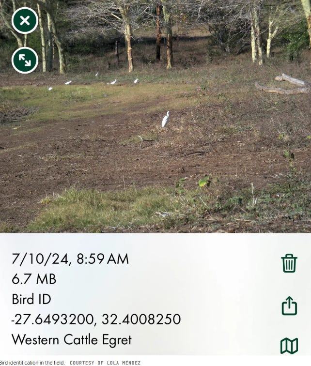Image item Image item