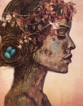 the-nesting_angela-amias_lo-rez