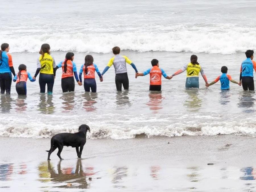 Surfing volunteer work Surfing volunteer work