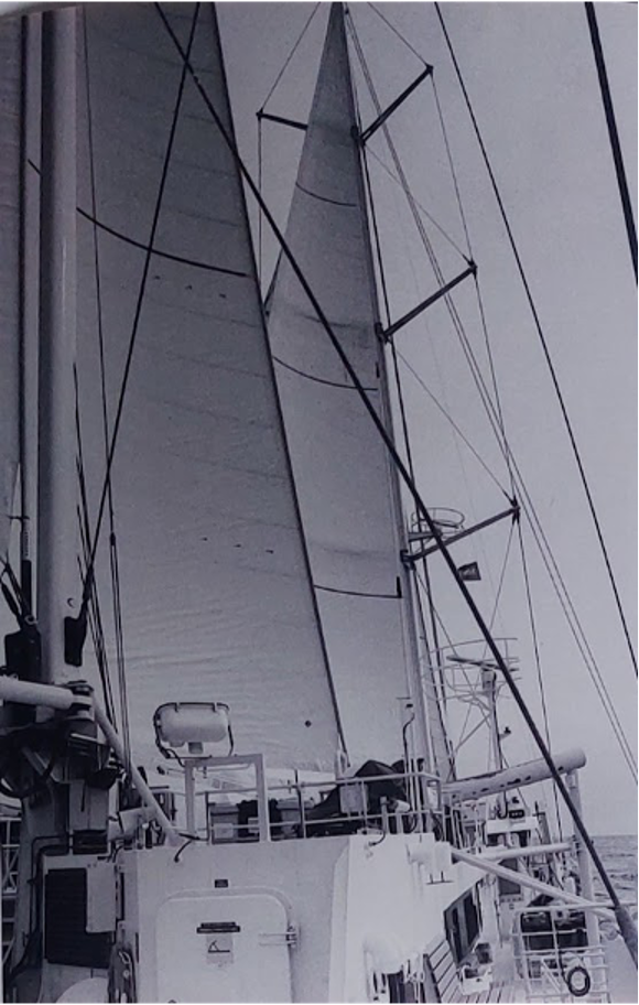 Photos of sail boat, dolphins swimming in the ocean, and an abandoned row boat