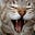 Pat Frederickson's avatar