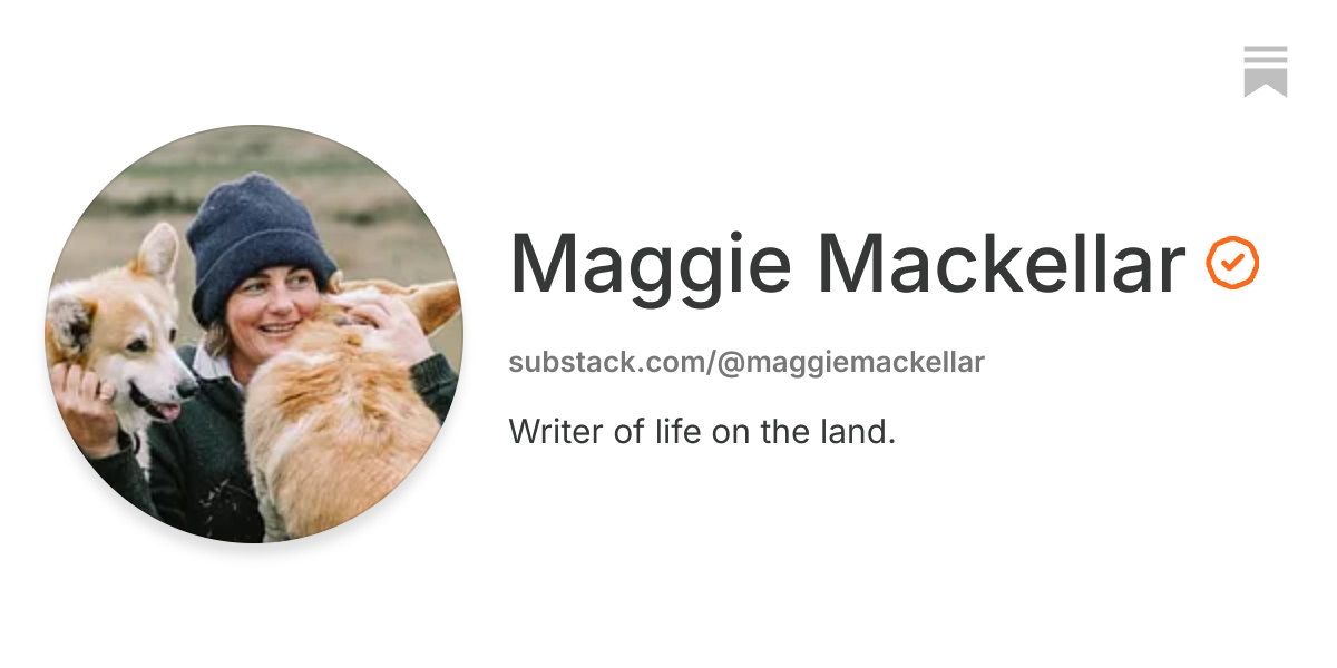 Maggie Mackellar | Substack