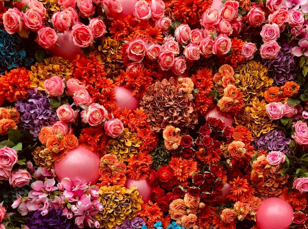 assorted flowers