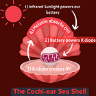 How Airpods Cause Brain Damage