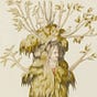 E Baker's avatar