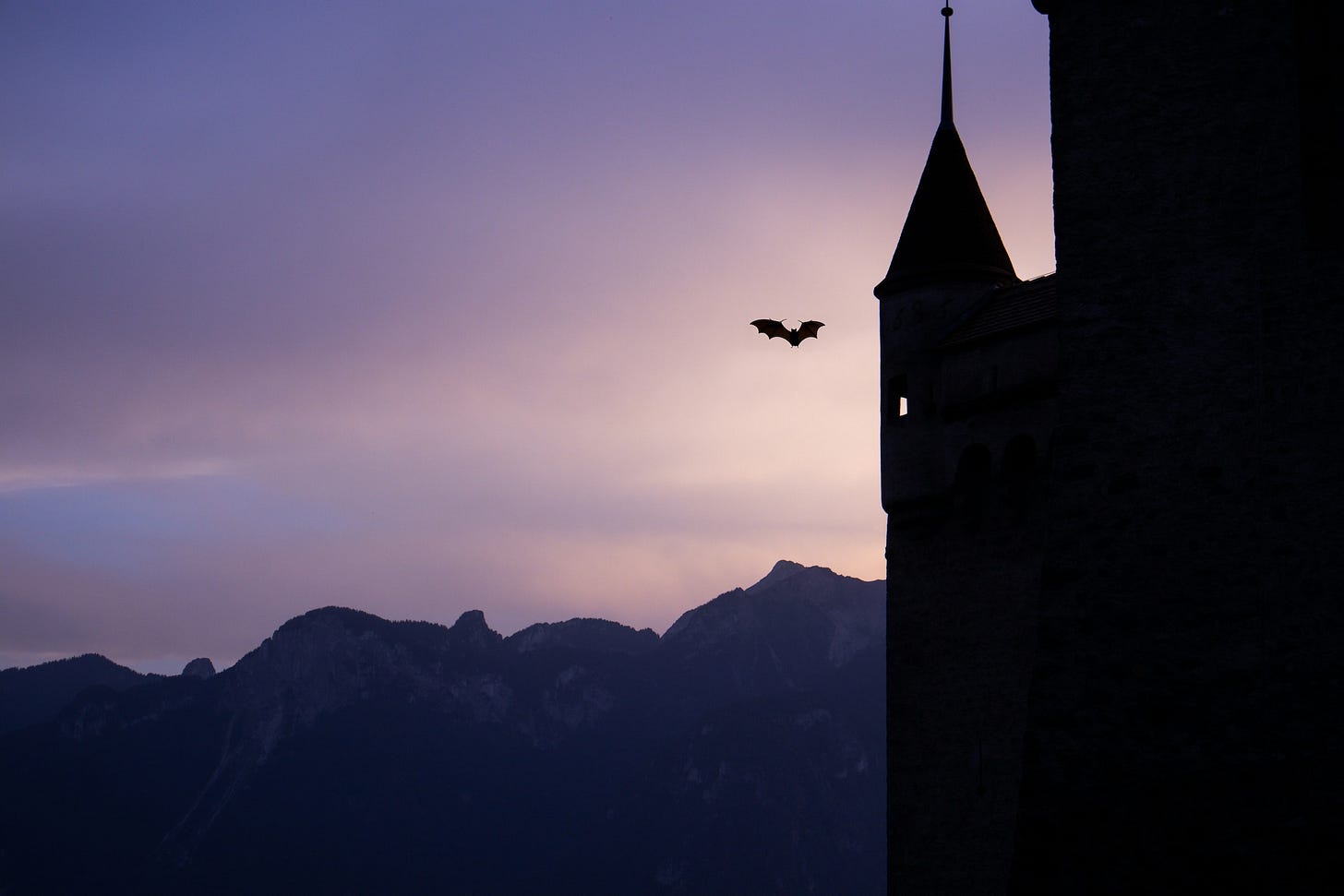 A bat and a castle silhouetted against a sunset and the dark hulk of a distant mountain range