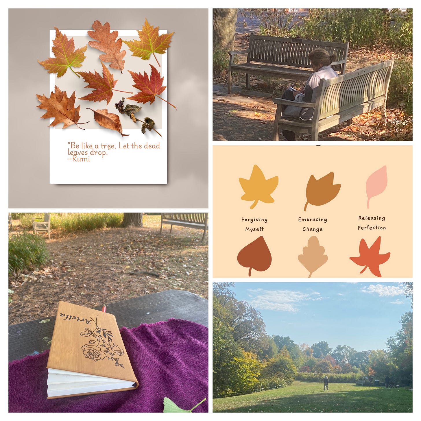 Collage of autumn-themed images: Top left, a quote from Rumi surrounded by colorful fall leaves: ‘Be like a tree. Let the dead leaves drop.’ Top right, a person sitting alone on a wooden bench in a park with fallen leaves around. Center right, simple leaf illustrations labeled ‘Forgiving Myself,’ ‘Embracing Change,’ and ‘Releasing Perfection.’ Bottom left, a journal with floral design resting on a purple cloth on an outdoor table with more benches and fallen leaves in the background. Bottom right, a wide view of a grassy field bordered by trees with autumn foliage, a person walking in the distance under a partly cloudy sky.