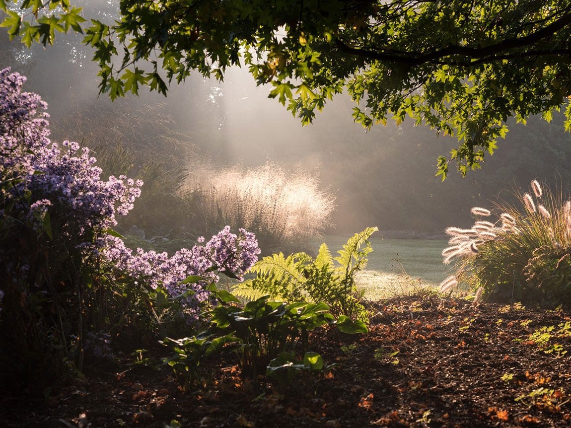 Arboretum Kalmthout | Great Gardens of the World
