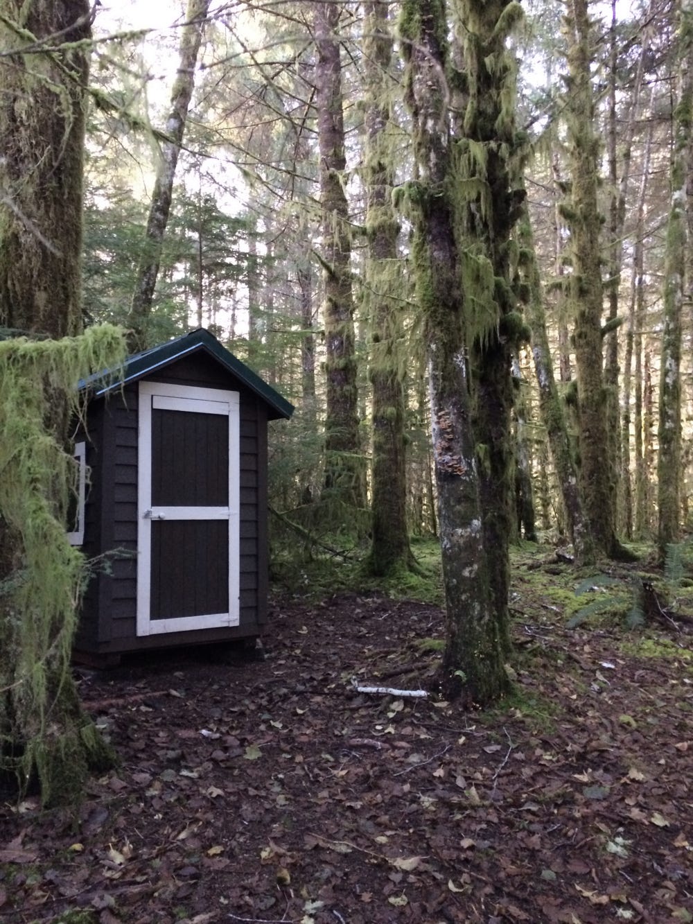 cabin2.png