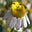 𝔯𝔬𝔟𝔦𝔫 ☿️ 𝔯𝔢𝔡𝔴𝔬𝔬𝔡's avatar