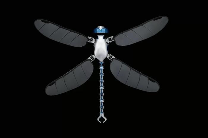 There are hopes that the highly complex flight characteristics of the humble dragonfly could inspire future aviation concepts