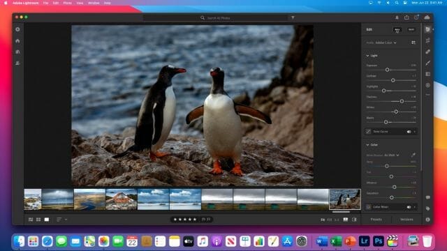Adobe Lightroom Apple Silicon
