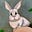 Randy's avatar