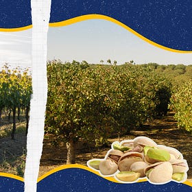 California Is Trading Wine for Pistachios