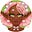the anime anthropologist's avatar